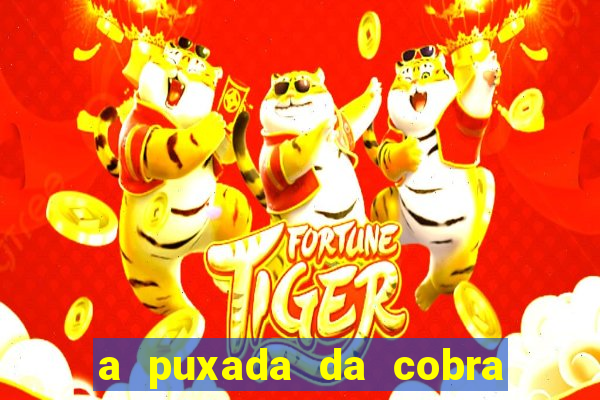 a puxada da cobra no jogo do bicho